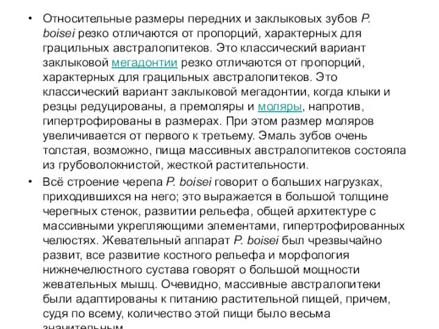 Относительные размеры передних и заклыковых зубов P. boisei резко отличаются