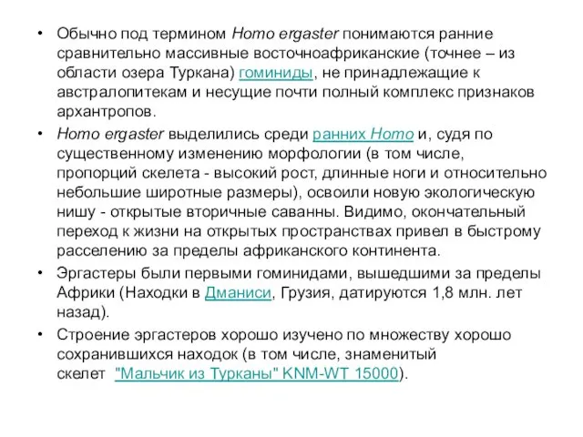 Обычно под термином Homo ergaster понимаются ранние сравнительно массивные восточноафриканские