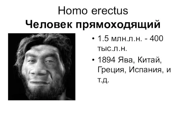 Homo erectus Человек прямоходящий 1.5 млн.л.н. - 400 тыс.л.н. 1894 Ява, Китай, Греция, Испания, и т.д.