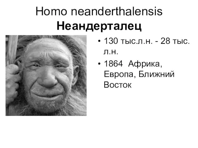 Homo neanderthalensis Неандерталец 130 тыс.л.н. - 28 тыс.л.н. 1864 Африка, Европа, Ближний Восток