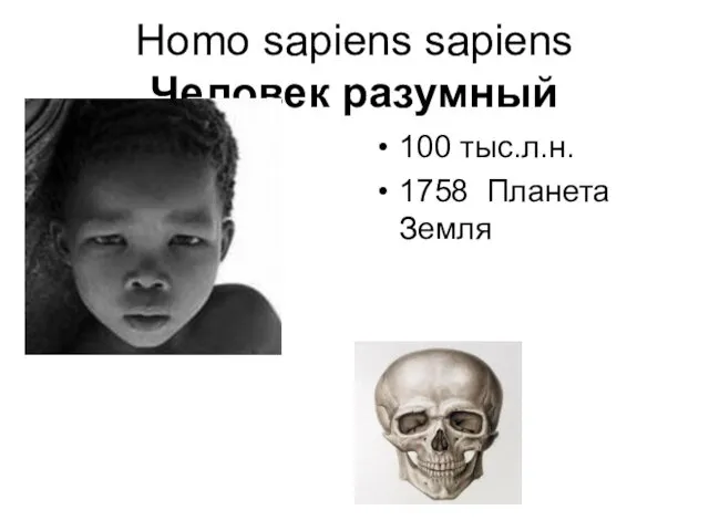 Homo sapiens sapiens Человек разумный 100 тыс.л.н. 1758 Планета Земля