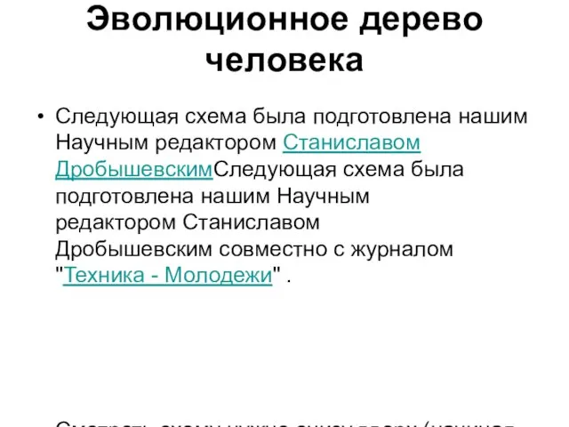 Эволюционное дерево человека Следующая схема была подготовлена нашим Научным редактором