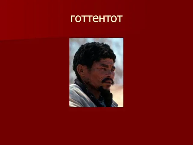 готтентот