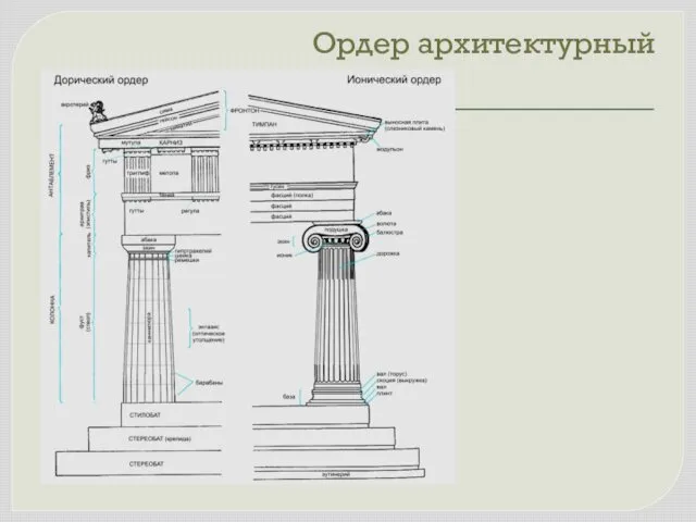 Ордер архитектурный