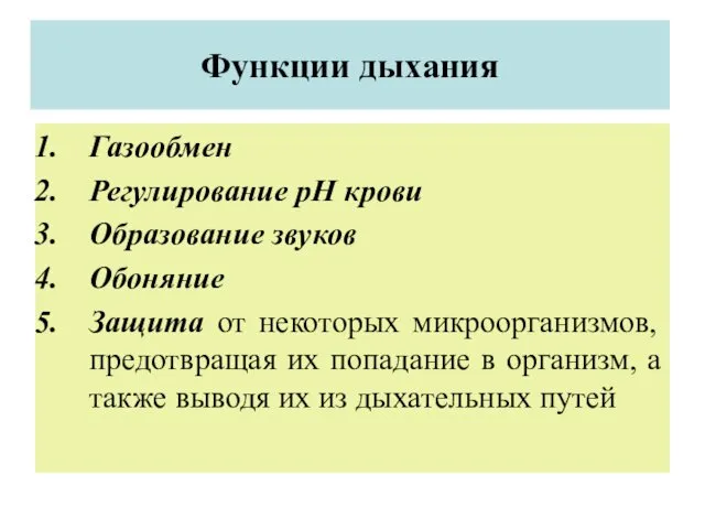 Функции дыхания Газообмен Регулирование рН крови Образование звуков Обоняние Защита