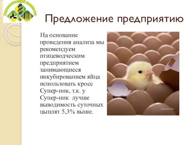 Предложение предприятию На основание проведения анализа мы рекомендуем птицеводческим предприятием занимающиеся инкубированием яйца