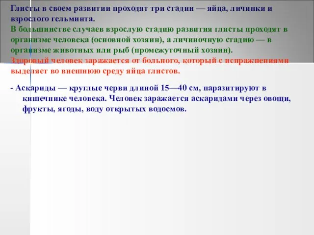 Глисты в своем развитии проходят три стадии — яйца, личинки