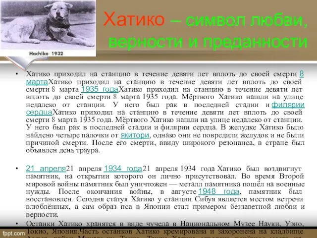 Хатико – символ любви, верности и преданности Хатико приходил на