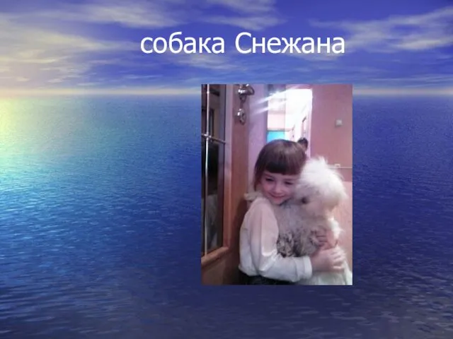 собака Снежана