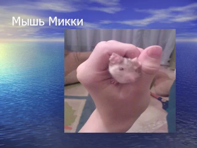 Мышь Микки