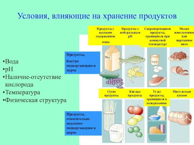 Условия, влияющие на хранение продуктов Вода pH Наличие-отсутствие кислорода Температура