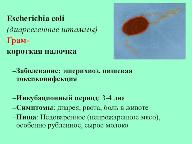 Escherichia coli (диареегенные штаммы) Грам- короткая палочка Заболевание: эшерихиоз, пищевая