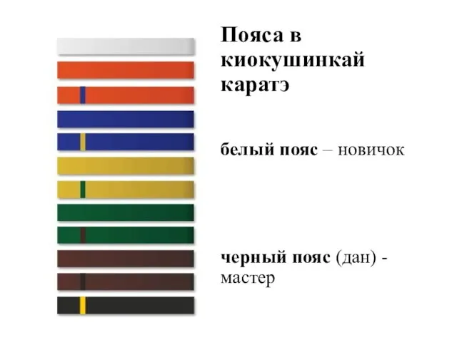 Пояса в киокушинкай каратэ белый пояс – новичок черный пояс (дан) - мастер