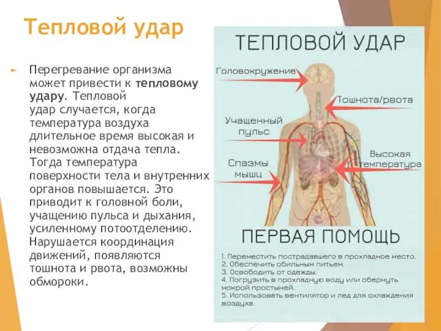 Тепловой удар Перегревание организма может привести к тепловому удару. Тепловой