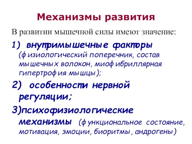 Механизмы развития В развитии мышечной силы имеют значение: 1) внутримышечные