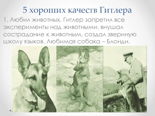 5 хороших качеств Гитлера 1. Любил животных. Гитлер запретил все