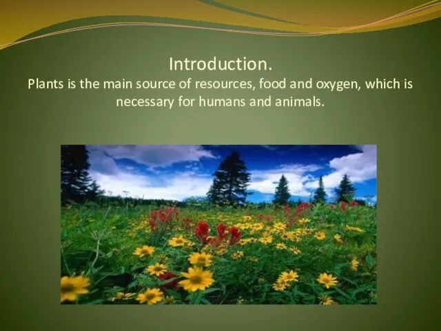 Introduction. Plants is the main source of resources, food and