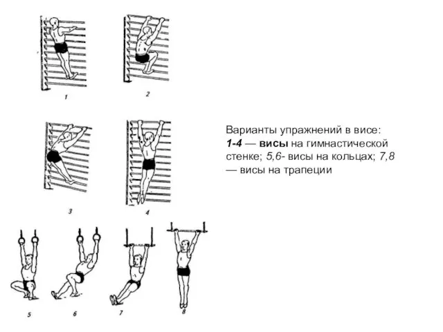 Варианты упражнений в висе: 1-4 — висы на гимнастической стенке;