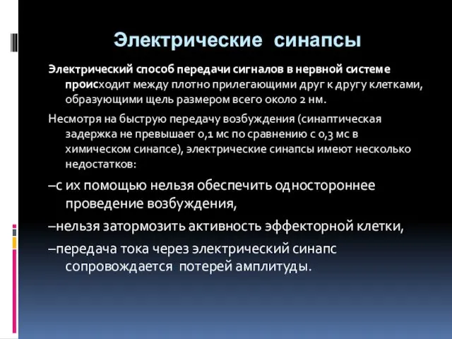 Электрические синапсы Электрический способ передачи сигналов в нервной системе происходит