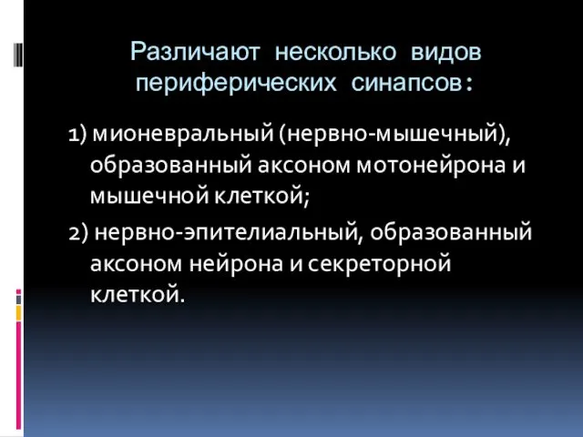 Различают несколько видов периферических синапсов: 1) мионевральный (нервно-мышечный), образованный аксоном