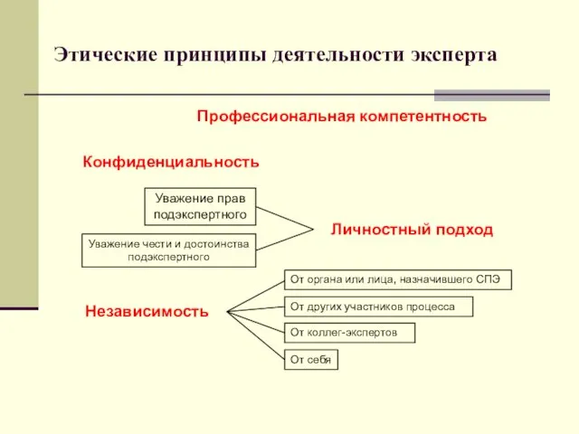 Этические принципы деятельности эксперта Профессиональная компетентность Личностный подход Независимость Конфиденциальность