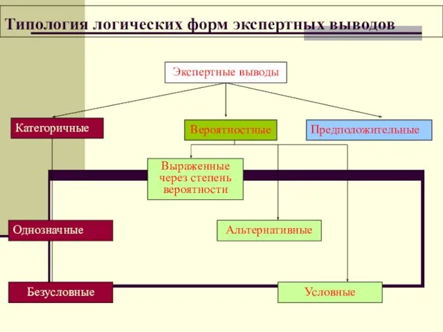 Типология логических форм экспертных выводов Вероятностные Категоричные Предположительные