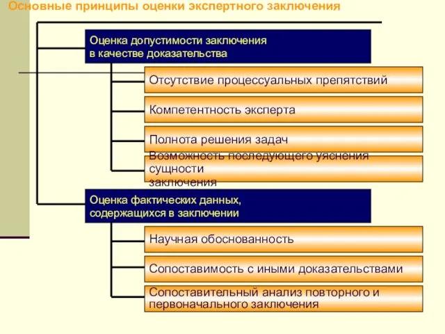 Основные принципы оценки экспертного заключения Оценка допустимости заключения в качестве