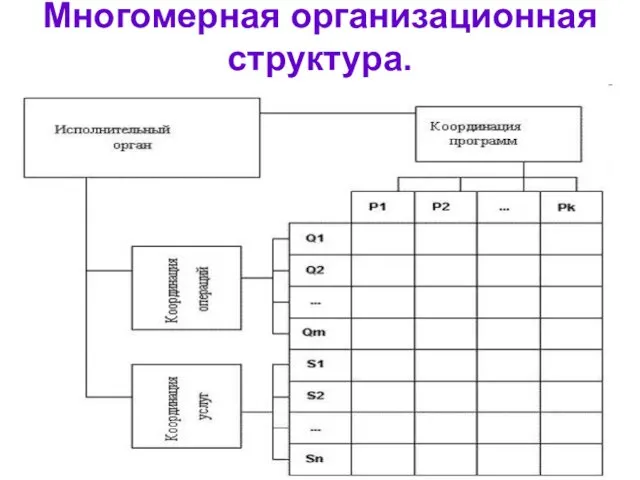 Многомерная организационная структура.