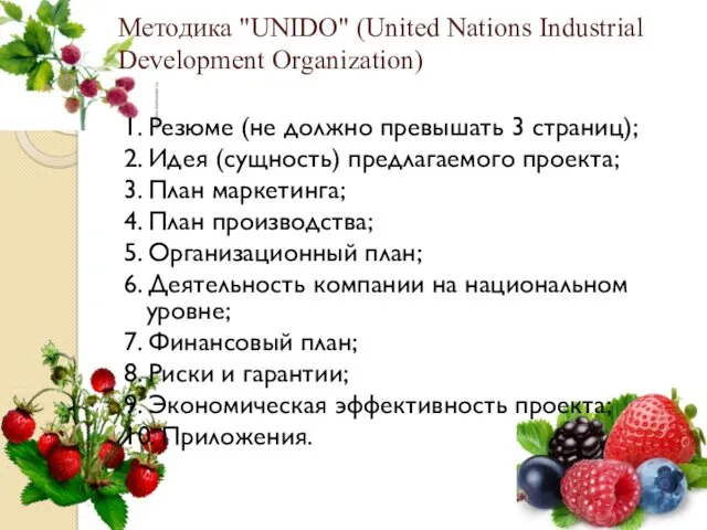 Методика "UNIDO" (United Nations Industrial Development Organization) 1. Резюме (не должно превышать 3