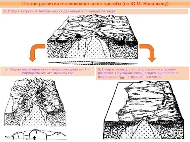 Стадии развития геосинклинального прогиба (по Ю.М. Васильеву) 4. Стадия затухания тектонических движений и