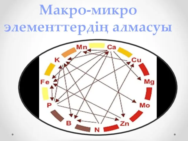 Макро-микро элементтердің алмасуы