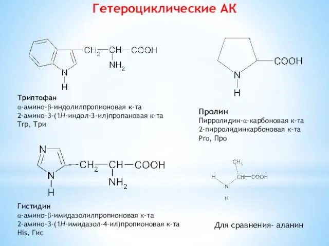 Гетероциклические АК Триптофан α-амино-β-индолилпропионовая к-та 2-амино-3-(1H-индол-3-ил)пропановая к-та Trp, Три Гистидин