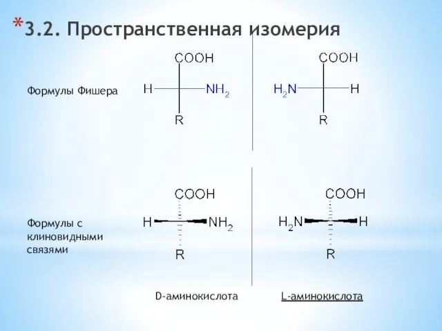 3.2. Пространственная изомерия D-аминокислота L-аминокислота Формулы Фишера Формулы с клиновидными связями