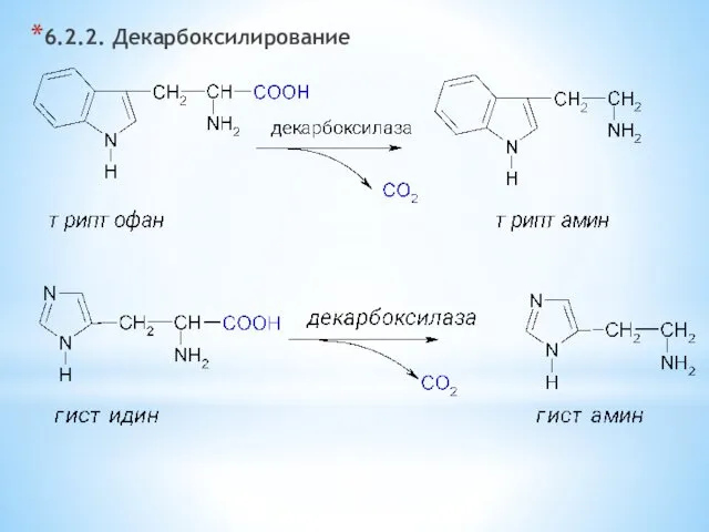 6.2.2. Декарбоксилирование