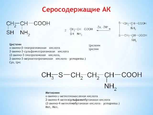 Серосодержащие АК Цистеин Цистин Мeтионин α-амино-γ-мeтилтиомасляная кислота 2-амино-4-метилсульфанилбутановая кислота (2-амино-4-метилтиобутановая