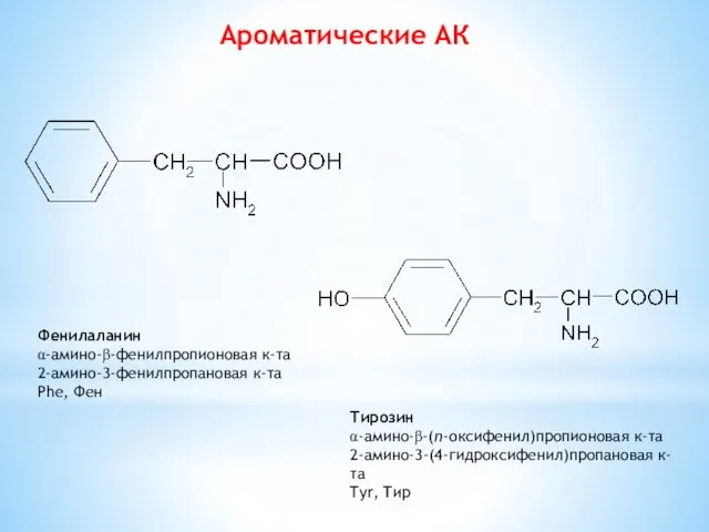 Ароматические АК Фенилаланин α-амино-β-фенилпропионовая к-та 2-амино-3-фенилпропановая к-та Phe, Фен Тирозин α-амино-β-(п-оксифенил)пропионовая к-та 2-амино-3-(4-гидроксифенил)пропановая к-та Tyr, Тир