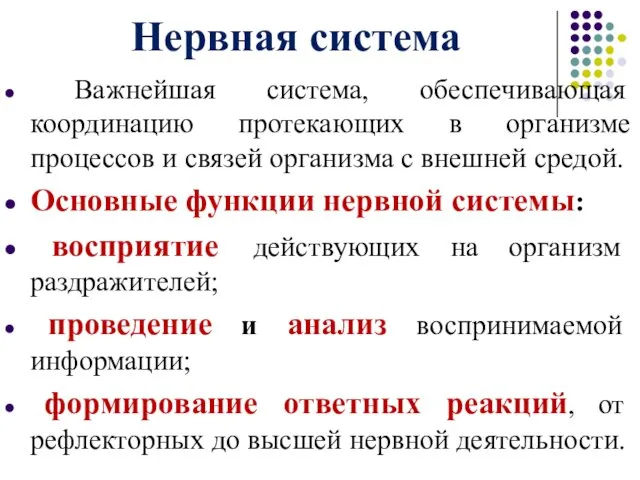 Нервная система Важнейшая система, обеспечивающая координацию протекающих в организме процессов