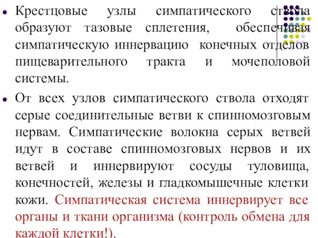 Крестцовые узлы симпатического ствола образуют тазовые сплетения, обеспечивая симпатическую иннервацию