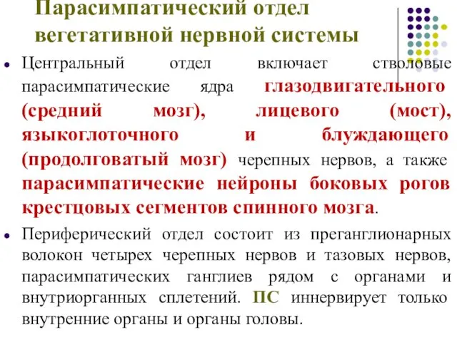 Парасимпатический отдел вегетативной нервной системы Центральный отдел включает стволовые парасимпатические