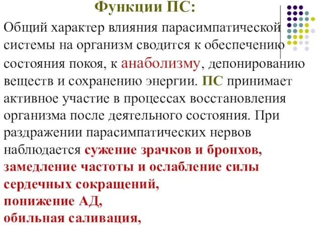 Функции ПС: Общий характер влияния парасимпатической системы на организм сводится