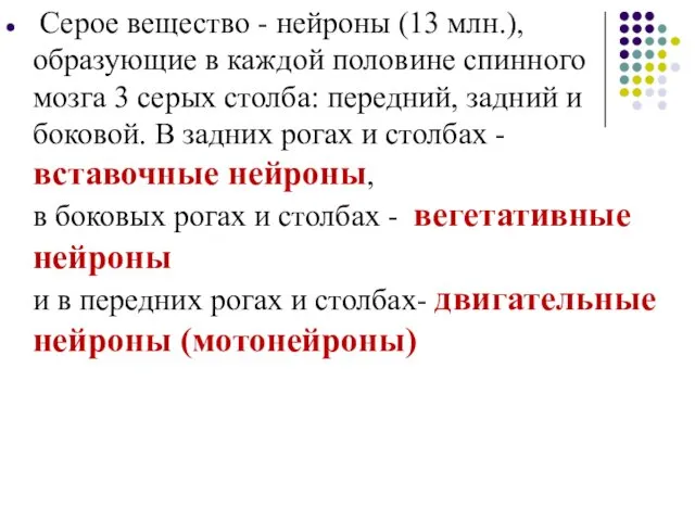 Серое вещество - нейроны (13 млн.), образующие в каждой половине