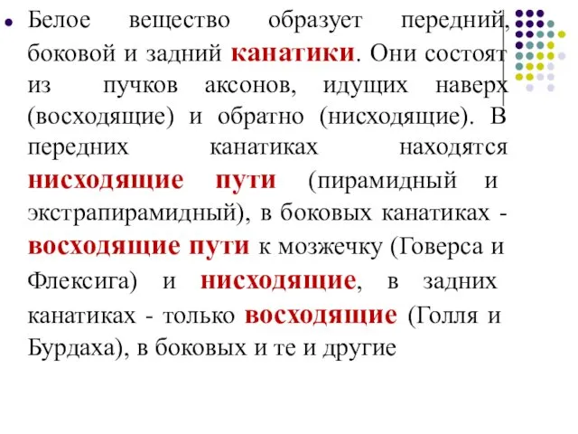 Белое вещество образует передний, боковой и задний канатики. Они состоят