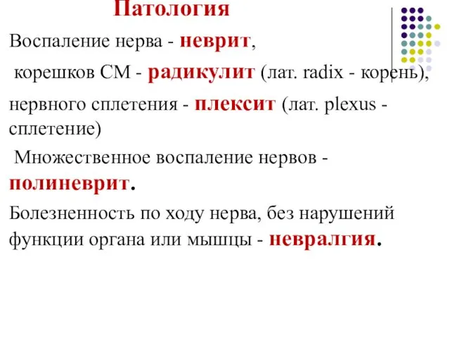 Патология Воспаление нерва - неврит, корешков СМ - радикулит (лат.