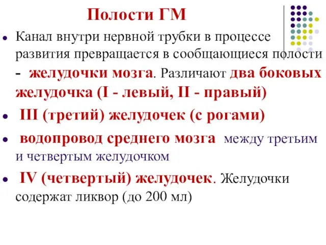 Полости ГМ Канал внутри нервной трубки в процессе развития превращается