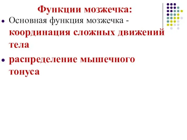 Функции мозжечка: Основная функция мозжечка - координация сложных движений тела распределение мышечного тонуса