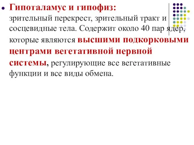 Гипоталамус и гипофиз: зрительный перекрест, зрительный тракт и сосцевидные тела.