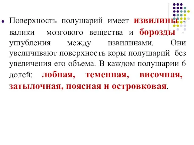 Поверхность полушарий имеет извилины - валики мозгового вещества и борозды