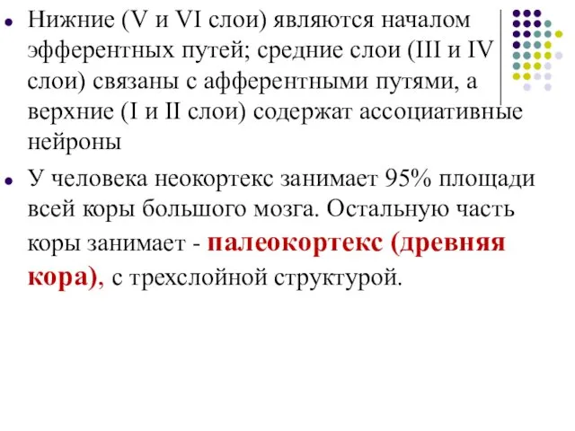 Нижние (V и VI слои) являются началом эфферентных путей; средние