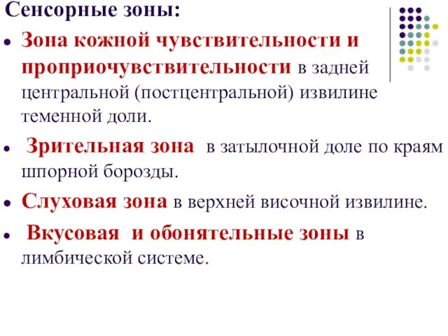 Сенсорные зоны: Зона кожной чувствительности и проприочувствительности в задней центральной