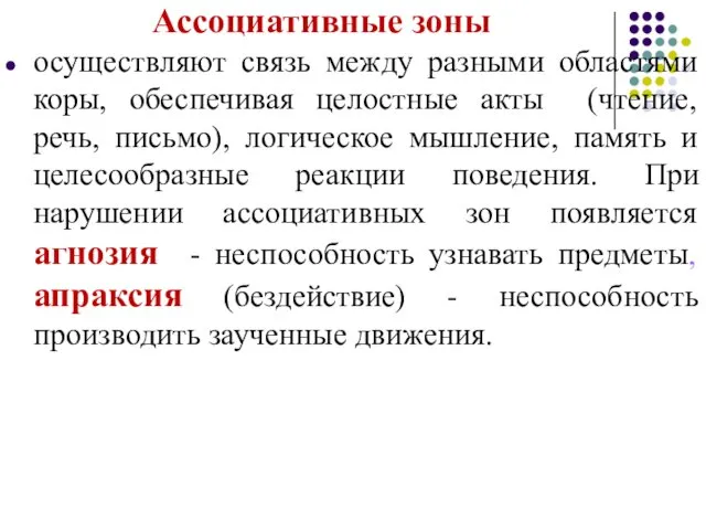 Ассоциативные зоны осуществляют связь между разными областями коры, обеспечивая целостные